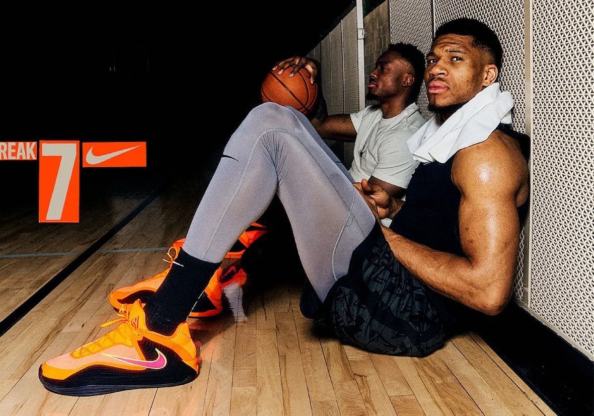 不仅巩固了 不仅巩固了